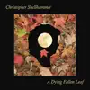 A Dying Fallen Leaf - Single album lyrics, reviews, download
