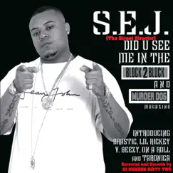 Did You See Me in the Block 2 Block and Murderdog Magazine by S.E.J. (The Street Director) album reviews, ratings, credits