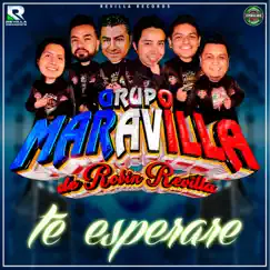 Te Esperare - Single by Grupo Maravilla De Robin Revilla album reviews, ratings, credits