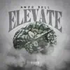 Elevate (feat. Medz Boss) - Single album lyrics, reviews, download