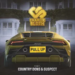 Pull Up (feat. Country Dons & Suspect OTB) Song Lyrics