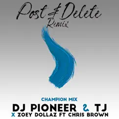 Post & Delete Remix (Champion Mix) [feat. TJ & Chris Brown] Song Lyrics