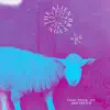 Shepherd (feat. Fatboi Sharif) [Remix] - Single album lyrics, reviews, download