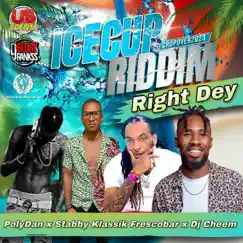 Right Dey (IceCup Riddim) (feat. Stabby, Klassik Frescobar & Dj Cheem) [Remix] - Single by Polydan album reviews, ratings, credits