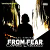 From Fear Comes Success album lyrics, reviews, download