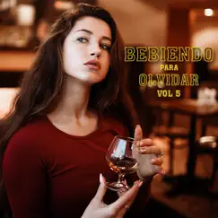 Bebiendo Para Olvidar, Vol.5 by Los Relicarios, Los Solitarios, Los Romanticos Del Despecho & Los Romanceros Del Sur album reviews, ratings, credits
