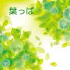 葉っぱ (feat. Akiko & Canoco) - Single album lyrics, reviews, download