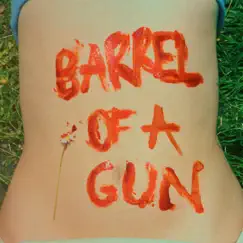 Barrel of a Gun Song Lyrics