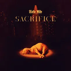Sacrifice - Single by Shatta Wale album reviews, ratings, credits