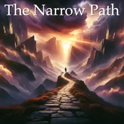 The Narrow Path - Single by David Valdes album reviews, ratings, credits