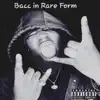 Bacc In Rare Form - Single album lyrics, reviews, download