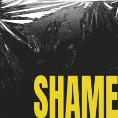 SHAME - Single by Family Man album reviews, ratings, credits