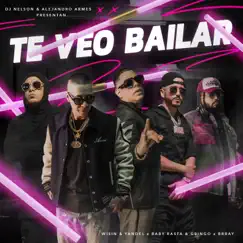 Te Veo Bailar (feat. Brray & Alejandro Armes) - Single by DJ Nelson, Wisin & Yandel & Baby Rasta y Gringo album reviews, ratings, credits