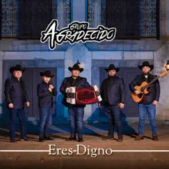 Agradecido (feat. Cayado) Song Lyrics