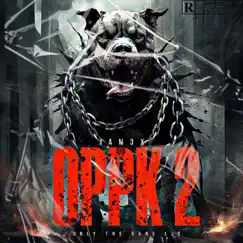 OPPK 2 - Single by JAM3X album reviews, ratings, credits