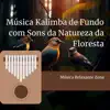 Música Kalimba de Fundo com Sons da Natureza da Floresta album lyrics, reviews, download