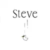 Steve album lyrics, reviews, download