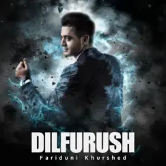 Dilfurush - Single by Fariduni Khurshed album reviews, ratings, credits