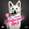 Enamorado (George Mayer Remix) - Single album lyrics, reviews, download