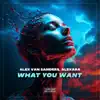 What You Want - Single album lyrics, reviews, download