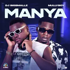 Manya - Single by Dj Bigsmallz & Mullyboy album reviews, ratings, credits