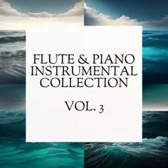 Flute & Piano Instrumental Collection, Vol. 3 by Everyday New Music album reviews, ratings, credits