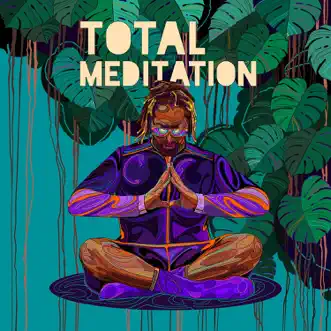 Total Meditation by Lil Jon & Kabir Sehgal album download