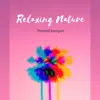 Relaxing Nature - Single album lyrics, reviews, download