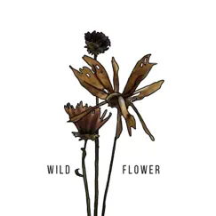 Wildflower Song Lyrics