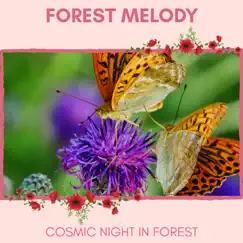 Forest Melody - Cosmic Night in Forest by Nature Ambience & Nature Radiance Project album reviews, ratings, credits