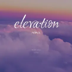 Elevation (feat. K3pha) [Remix] - Single by Micah LaRae album reviews, ratings, credits