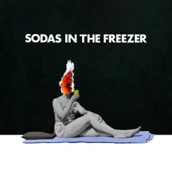 Sodas in the Freezer - Single by Flycatcher album reviews, ratings, credits