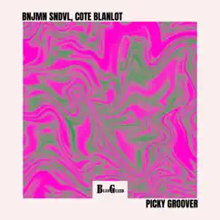 Picky Groover - Single by Bnjmn Sndvl & Cote Blanlot album reviews, ratings, credits
