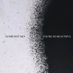 You're so Beautiful Song Lyrics