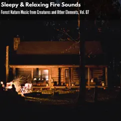 Sleepy & Relaxing Fire Sounds - Forest Nature Music from Creatures and Other Elements, Vol. 07 by Various Artists album reviews, ratings, credits