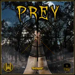 Prey - Single by Dustin Warbear & Ace Wild album reviews, ratings, credits