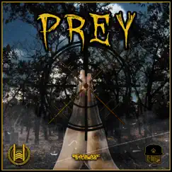 Prey Song Lyrics