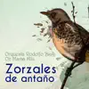 Zorzales de Antaño - Orquesta Rodolfo Biagi - Oh Mamá Mia album lyrics, reviews, download