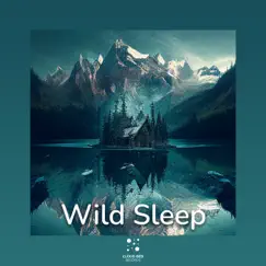 The fairest thing in nature - EP by Wild Sleep album reviews, ratings, credits