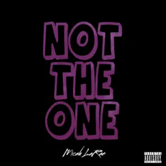 Not the One - Single by Micah LaRae album reviews, ratings, credits