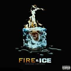 Fire & Ice (feat. Junior Pasare) - Single by Brett Powell album reviews, ratings, credits