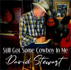 Still Got Some Cowboy in Me Song Lyrics