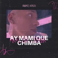 Ay Mami Que Chimba Song Lyrics