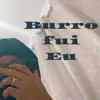 Burro fui eu - Single album lyrics, reviews, download