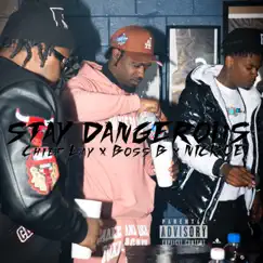 Stay Dangerous (feat. Boss B & Nickoe) Song Lyrics