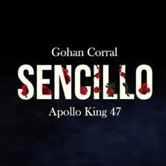 Sencillo - Single by Apollo King 47 album reviews, ratings, credits