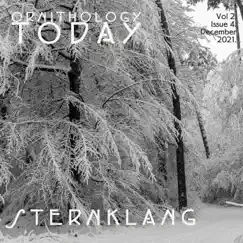 Ornithology Today Vol.2. Issue.4. - EP by Sternklang album reviews, ratings, credits