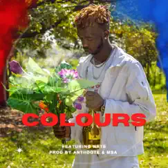 COLOURS (feat. NATE) - Single by Trinkx album reviews, ratings, credits