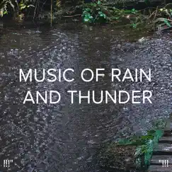 Rainfall Rainforest Song Lyrics