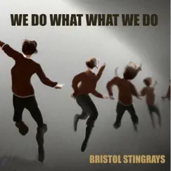 We Do What We Do - Single by The Bristol Stingrays album reviews, ratings, credits